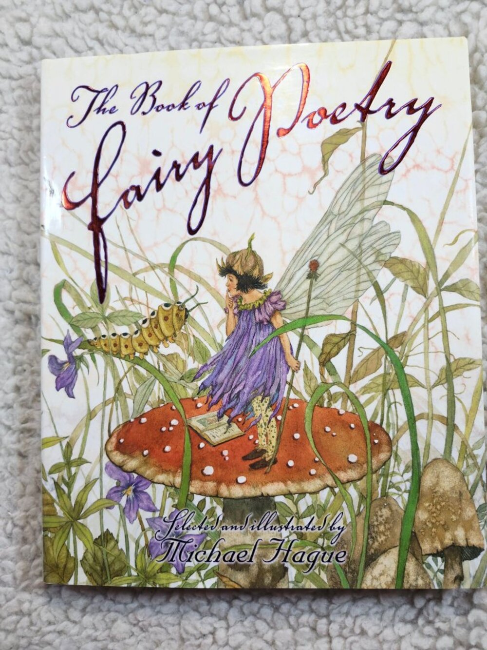 Michael Hague The Book of Fairy Poetry Hardcover Illustrated First Edition